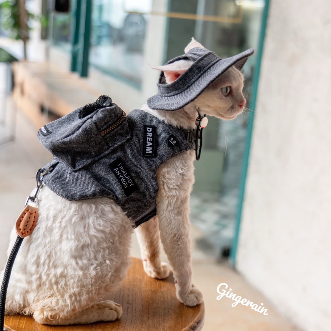Sac à Dos de Voyage de Luxe Fa - Luxury Bags Cute avis et prix