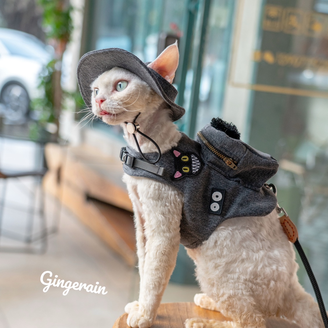 Sac à Dos de Voyage de Luxe Fa - Luxury Bags Cute avis et prix